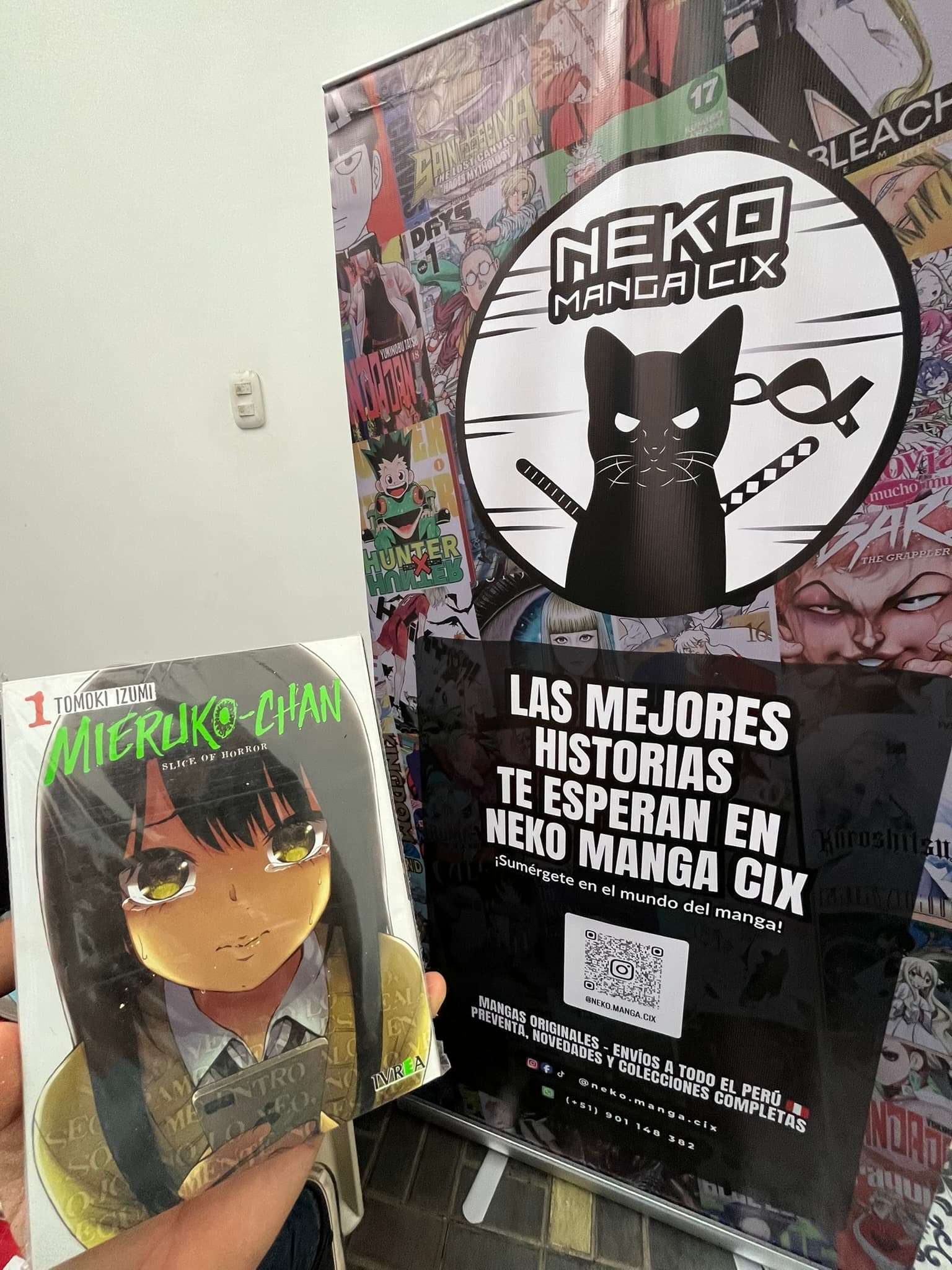 Día del coleccionista