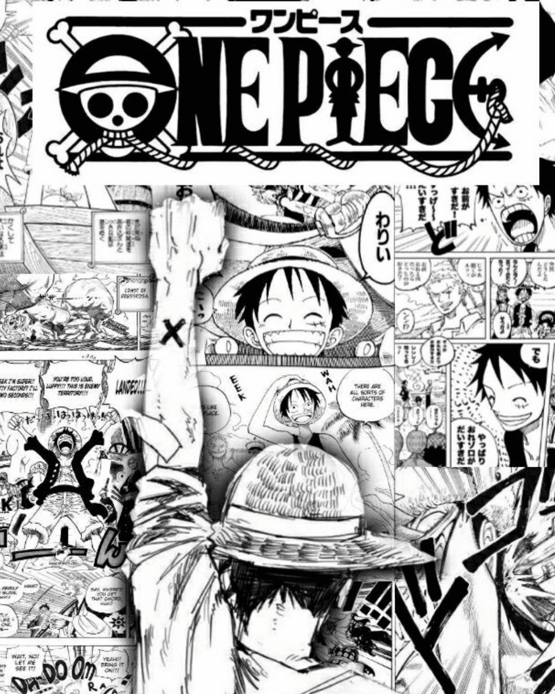 Portada One Piece